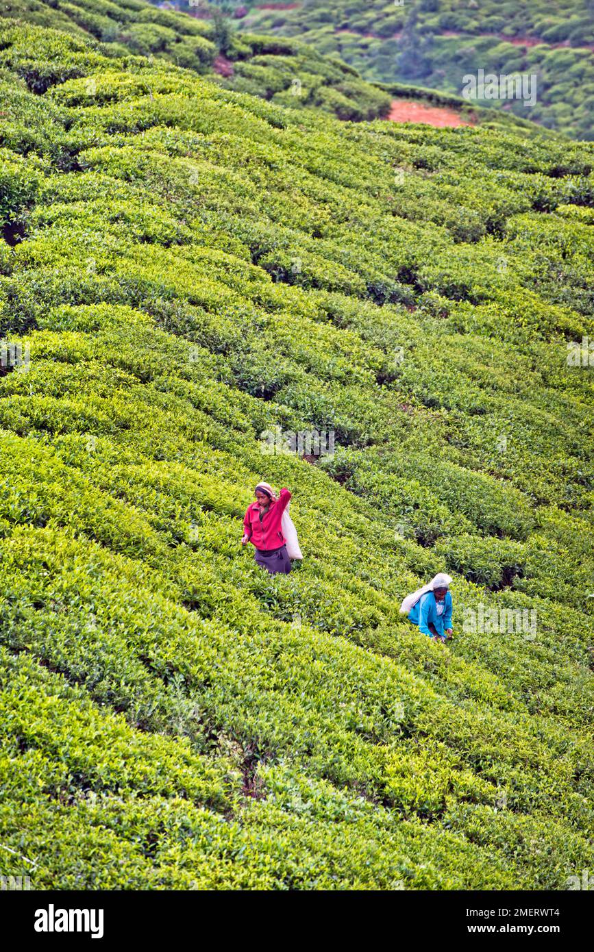 Clothing factory sri lanka hi-res stock photography and images - Alamy