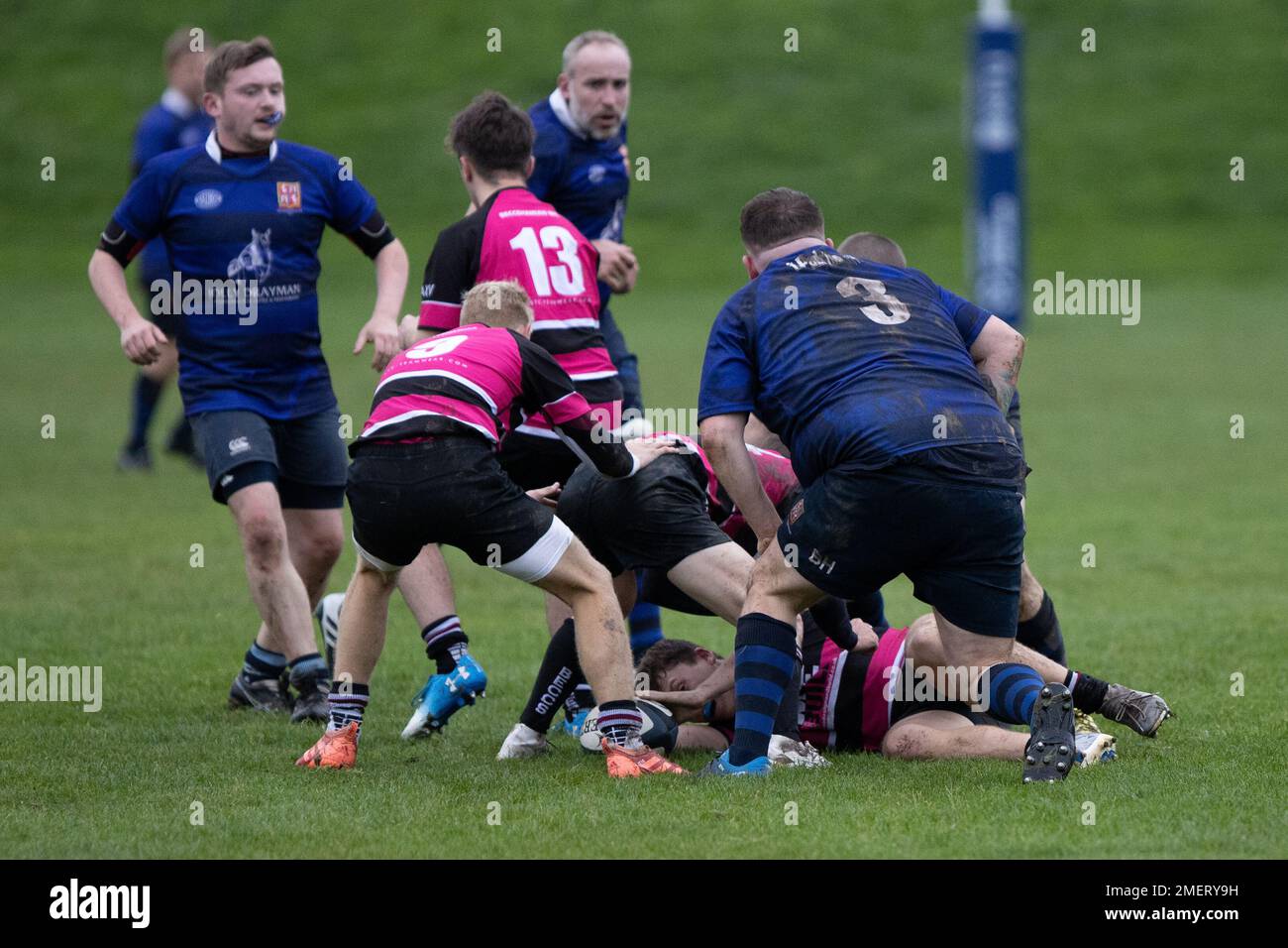 Rugby match, rugby game, rugby player, rugby scrum, rugby tackle, rugby ...