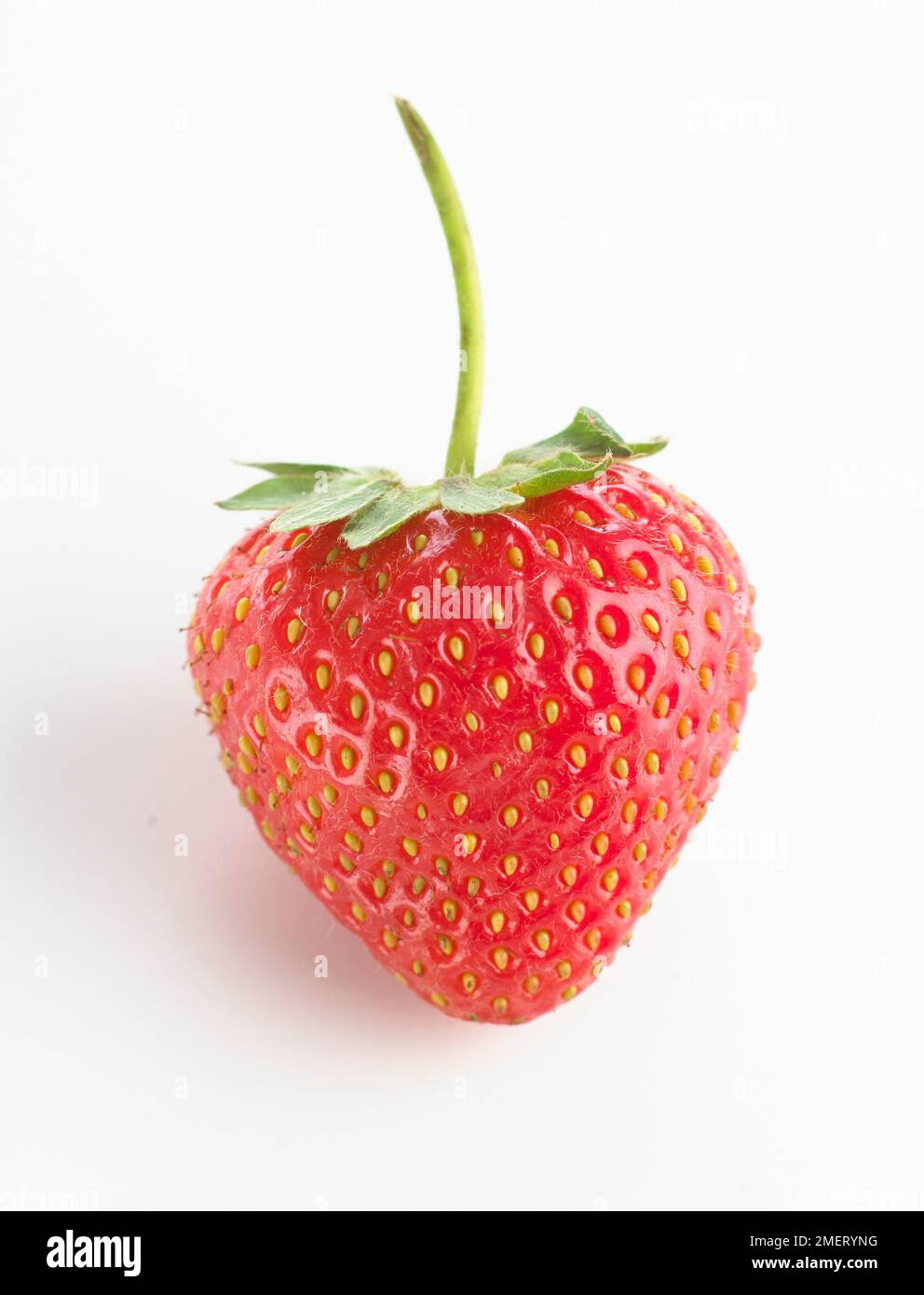 One strawberry stem hi-res stock photography and images - Alamy