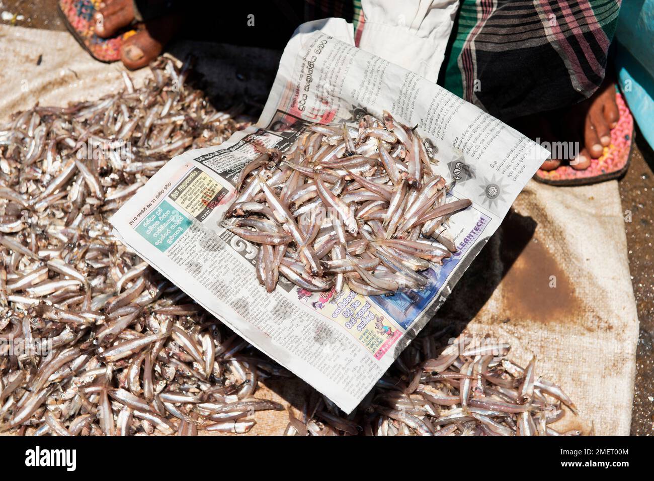 Sri Lanka, Southern Province, Hambantota, fish for sale at market Stock Photo