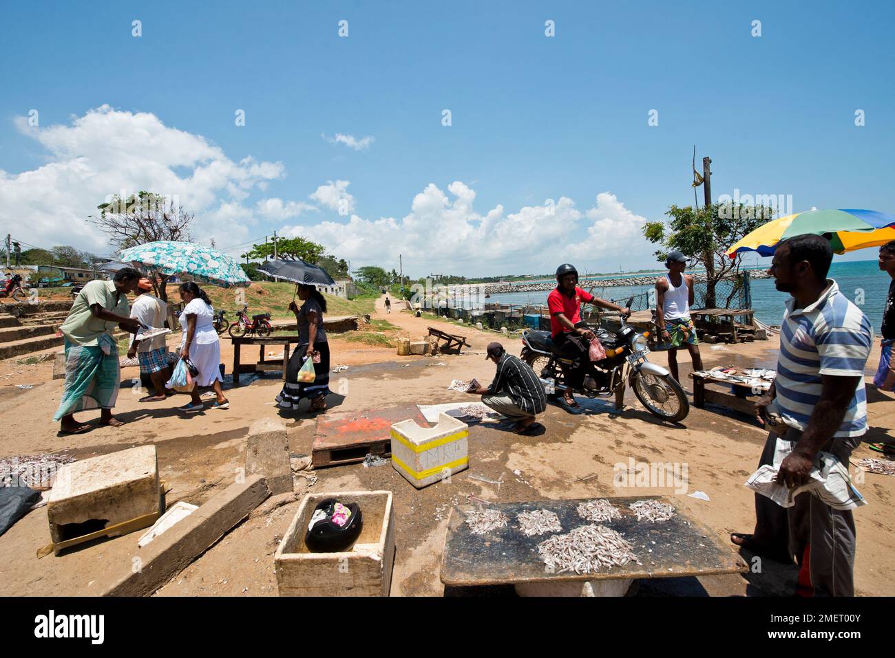 Fish Market, Hambantota, Southern Province, Sri Lanka Stock Photo Alamy