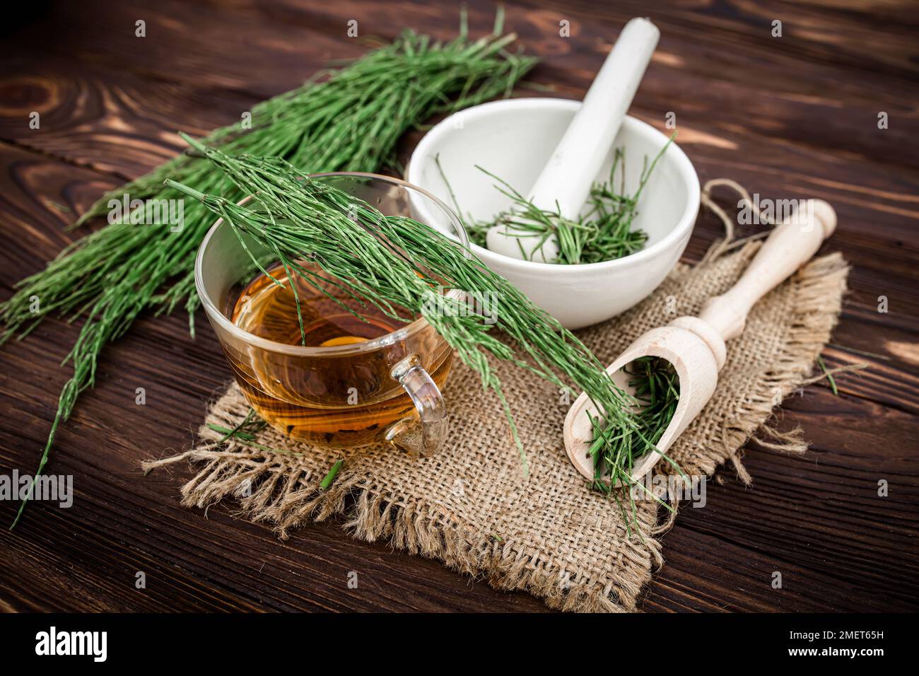 cup of tea from horsetail, made from fresh potion, from pharmacy mortar. Horsetail infusions are used as diuretic for edema Stock Photo