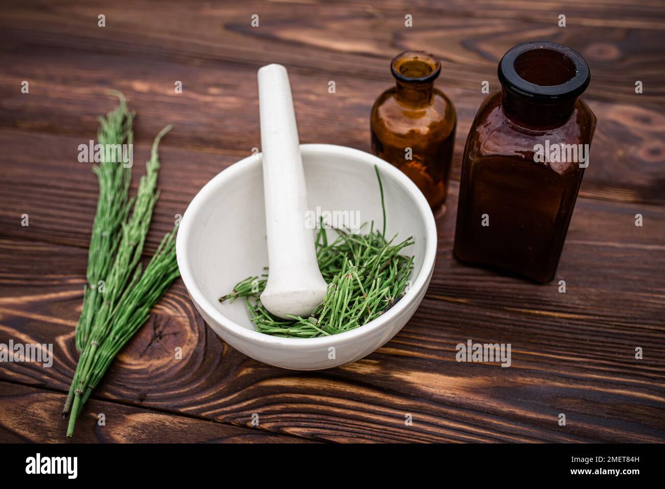 Sliced fresh horsetail, in pharmacy mortar ready for drying and preparation of tinctures or elexirs Stock Photo
