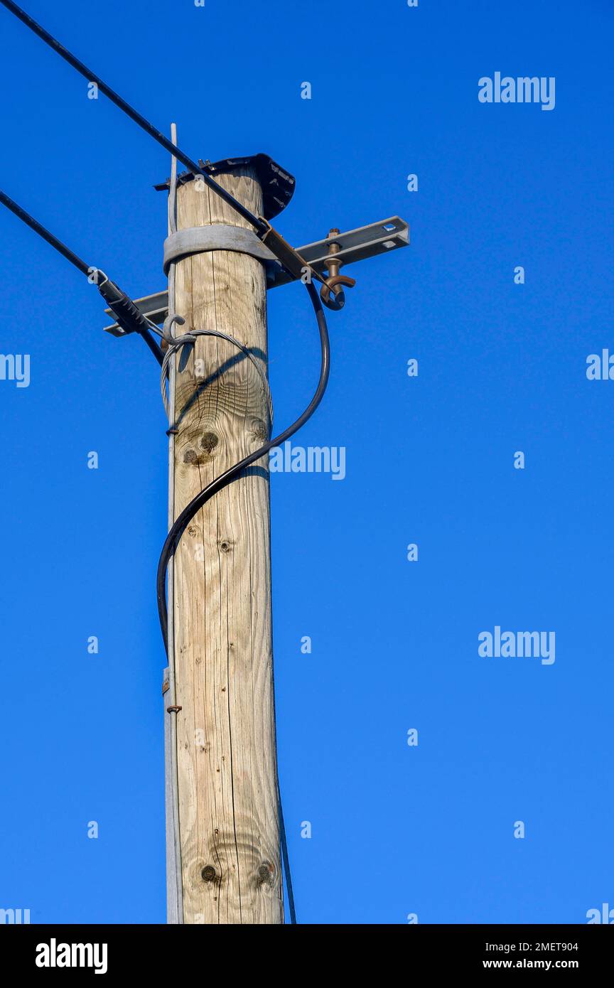 Wooden power pole, end of a power line, at Mariaberg, Allgaeu, Bavaria, Germany Stock Photo