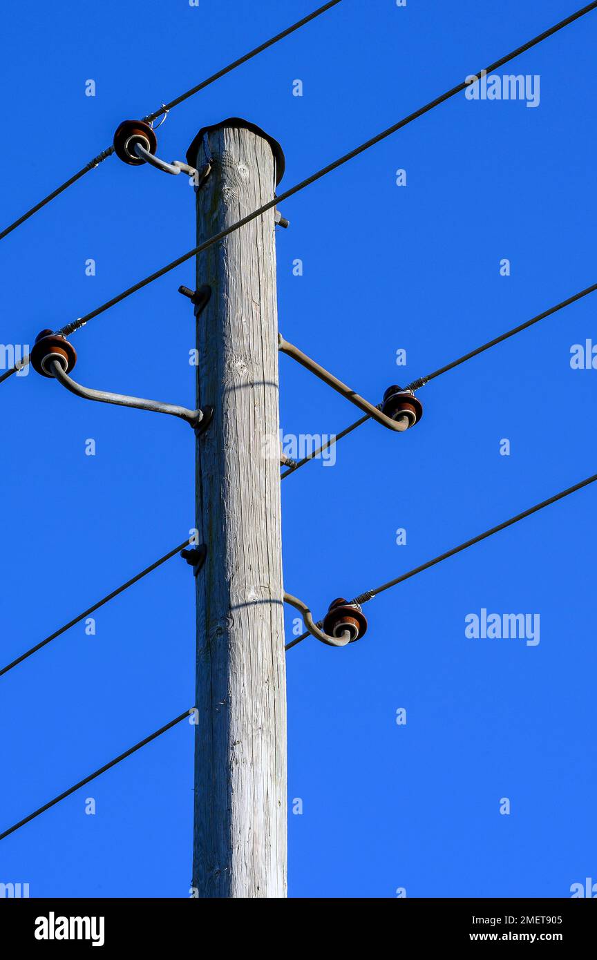 Wooden electricity pylon with ceramic insulators, at Mariaberg, Allgaeu, Bavaria, Germany Stock Photo