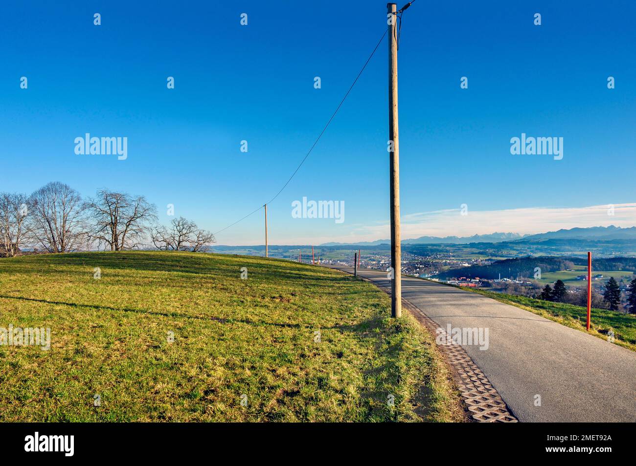 Country road and wooden electricity pylons at Mariaberg, Allgaeu, Bavaria, Germany Stock Photo