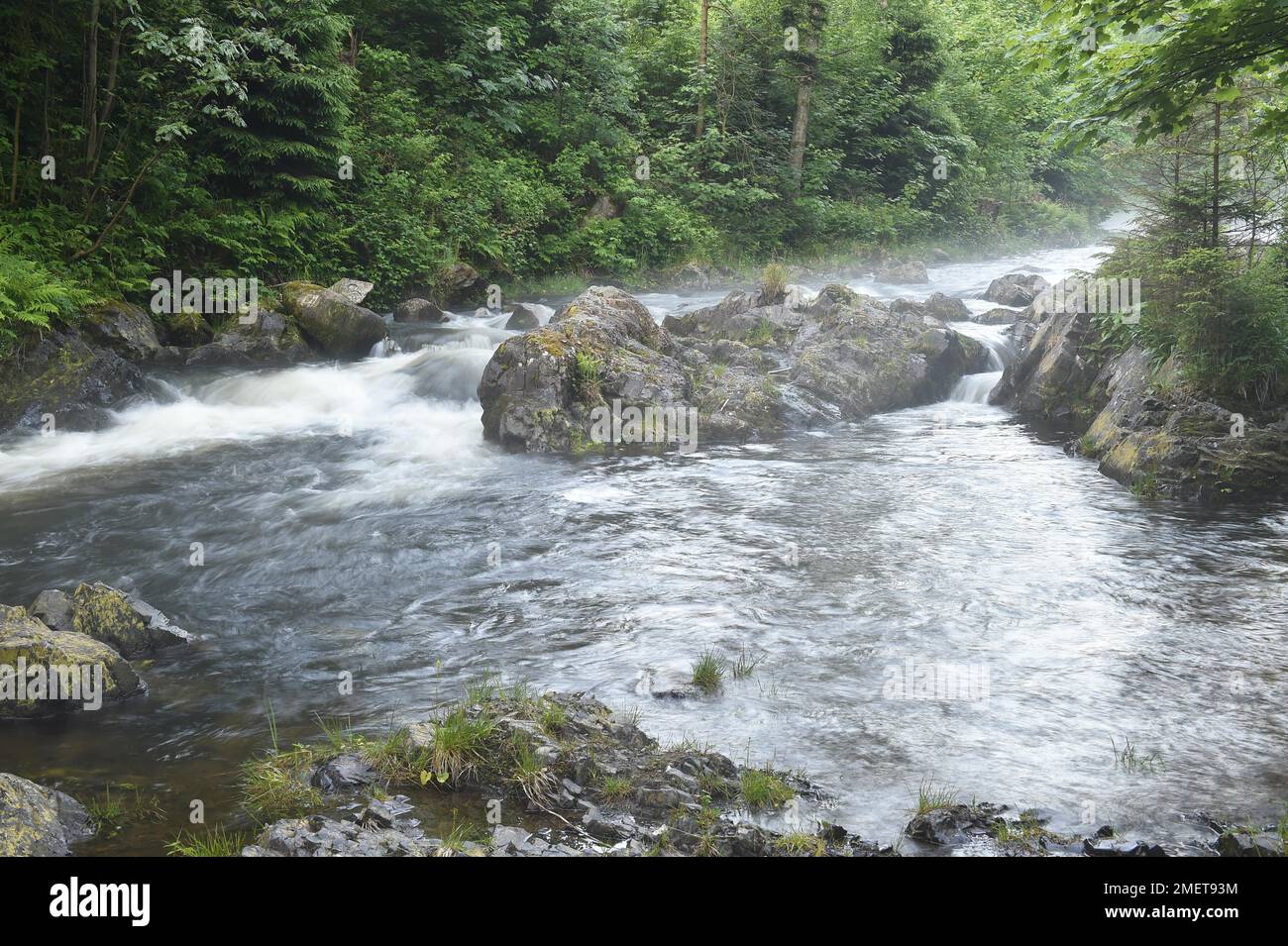 Forest river, Oker in the Harz Mountains, Saxony-Anhalt, Germany Stock Photo