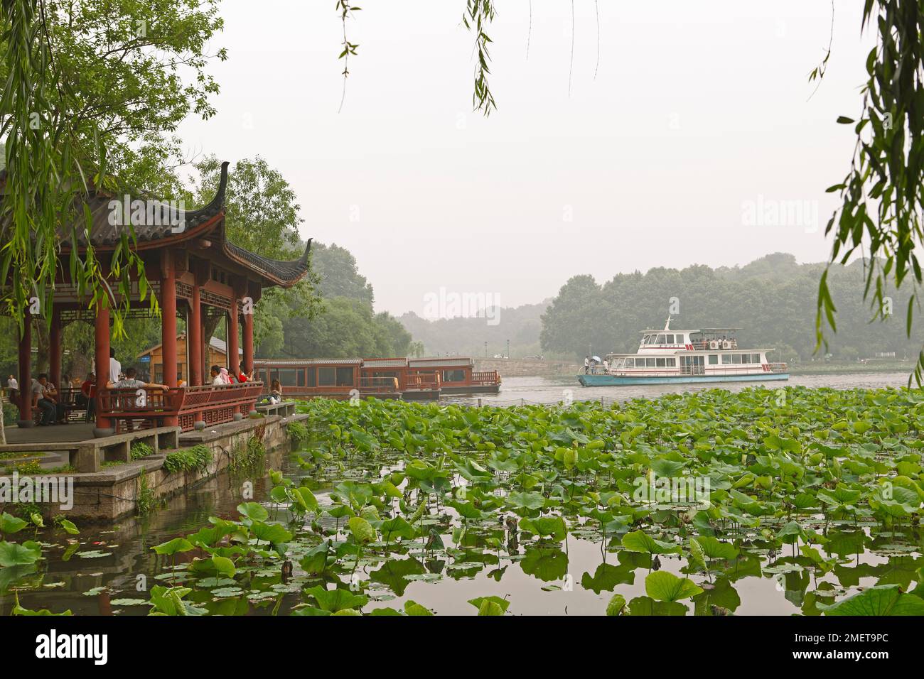 Lotus flower bud, Hangzhou, Zhejiang Province, China