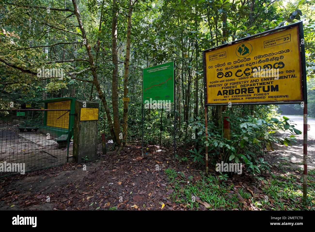Galle, Kottawa Rainforest, Southern Province, Sri Lanka Stock Photo