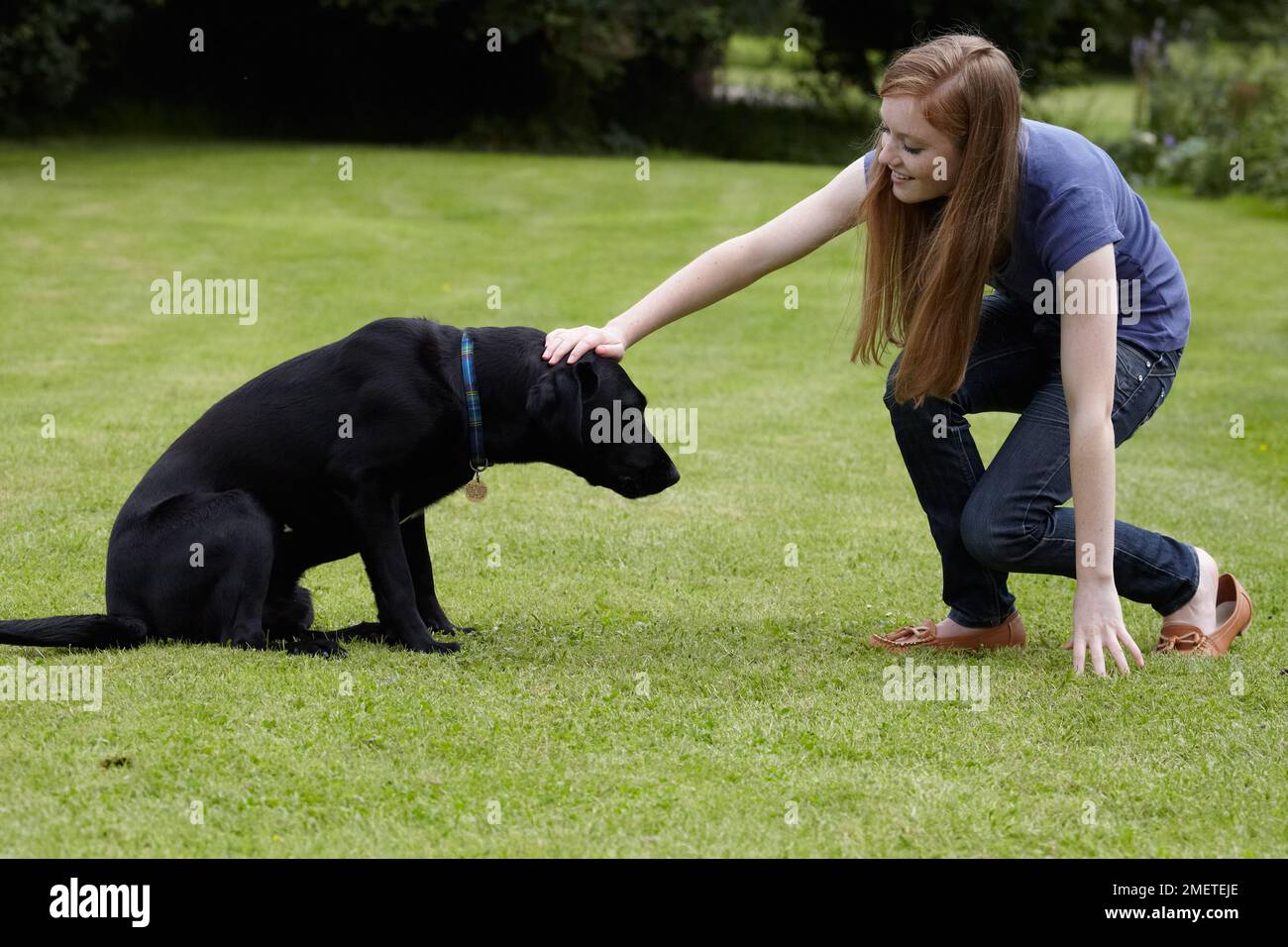 Teenage girl giving Labrador treats outside in garden Stock Photo