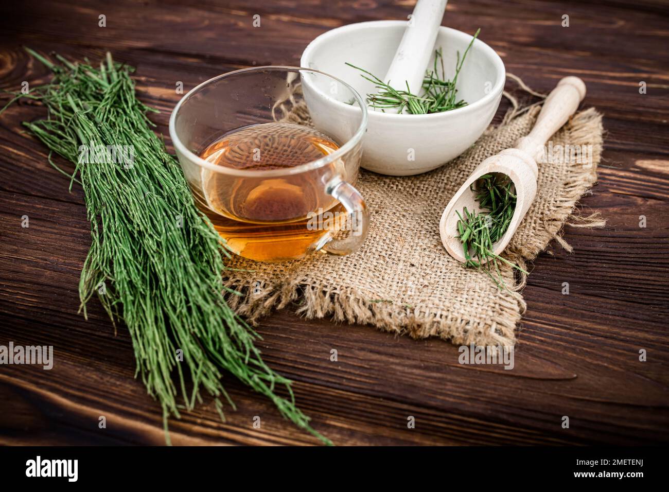 cup of tea from horsetail, made from fresh potion, from pharmacy mortar. Horsetail infusions are used as a diuretic for edema, anti-inflammatory Stock Photo