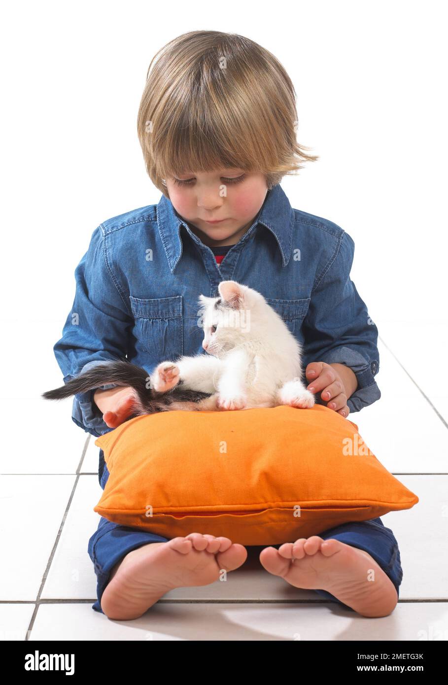 https://c8.alamy.com/comp/2METG3K/boy-sitting-with-kitten-on-cushion-on-lap-3-years-2METG3K.jpg