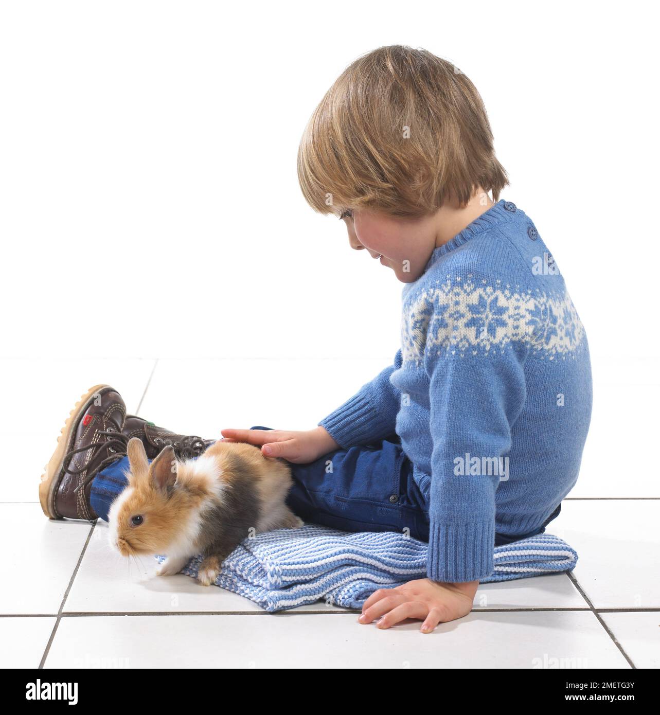 Boy sitting with rabbit on blanket, 3 years Stock Photo - Alamy