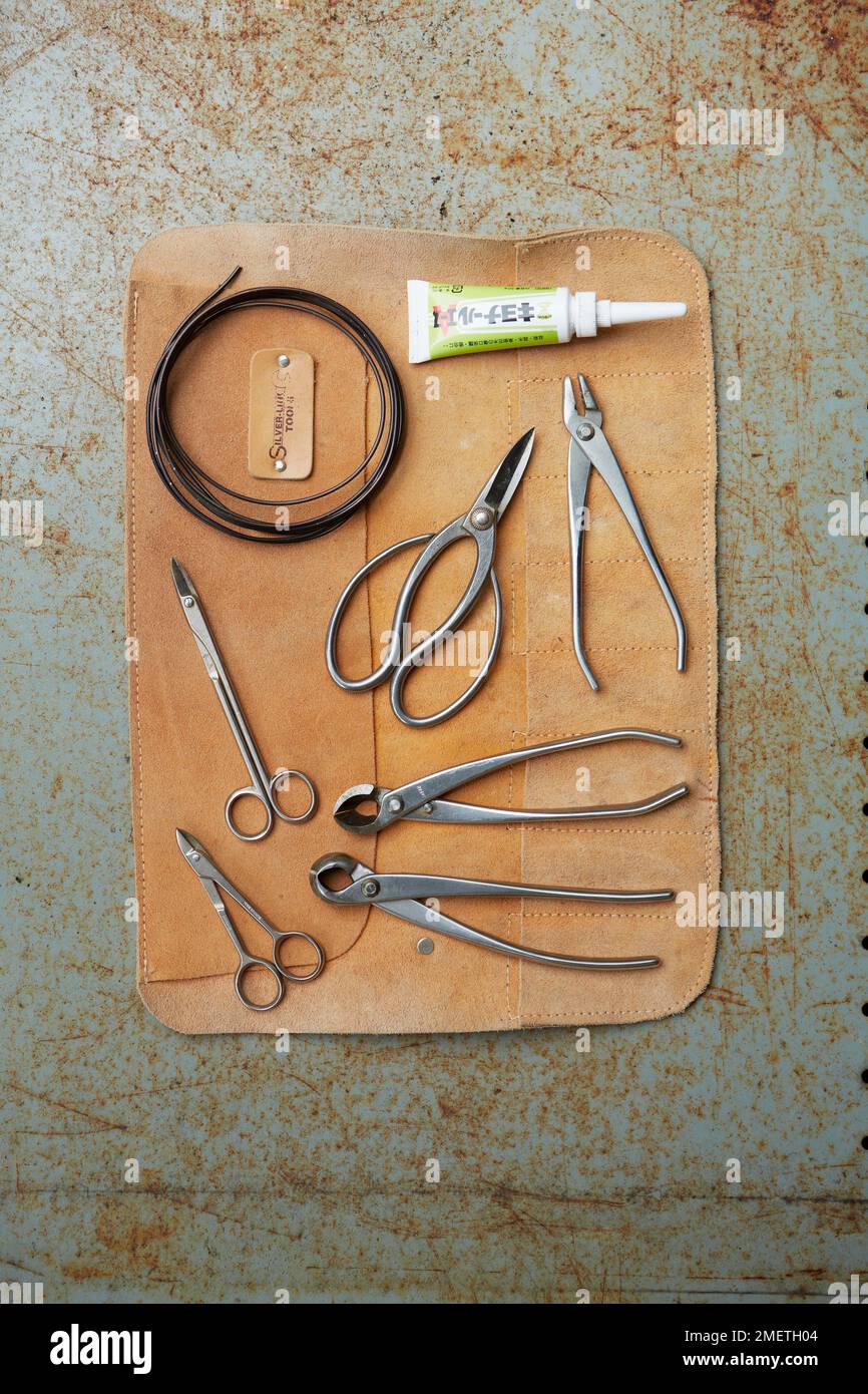 Various bonsai gardening tools Stock Photo Alamy