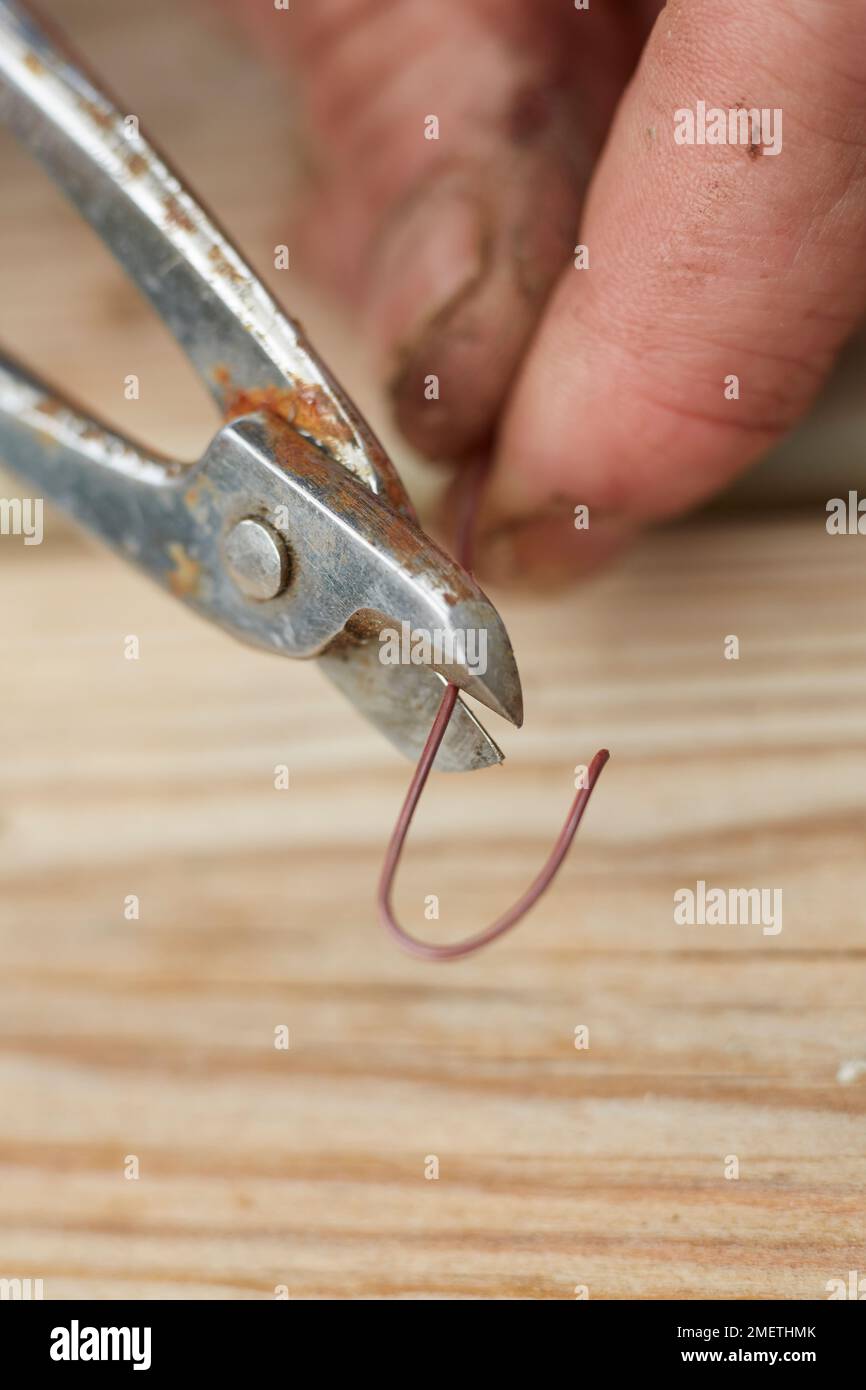 Bending bonsai wire to make wire staple, clipping Stock Photo