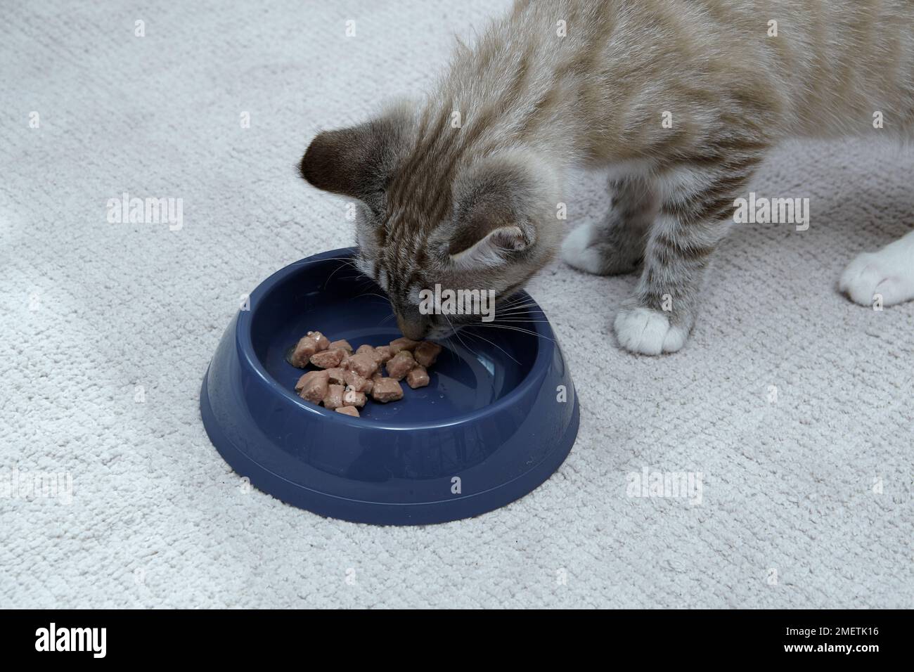 Female Eating Bowl Hi res Stock Photography And Images Alamy