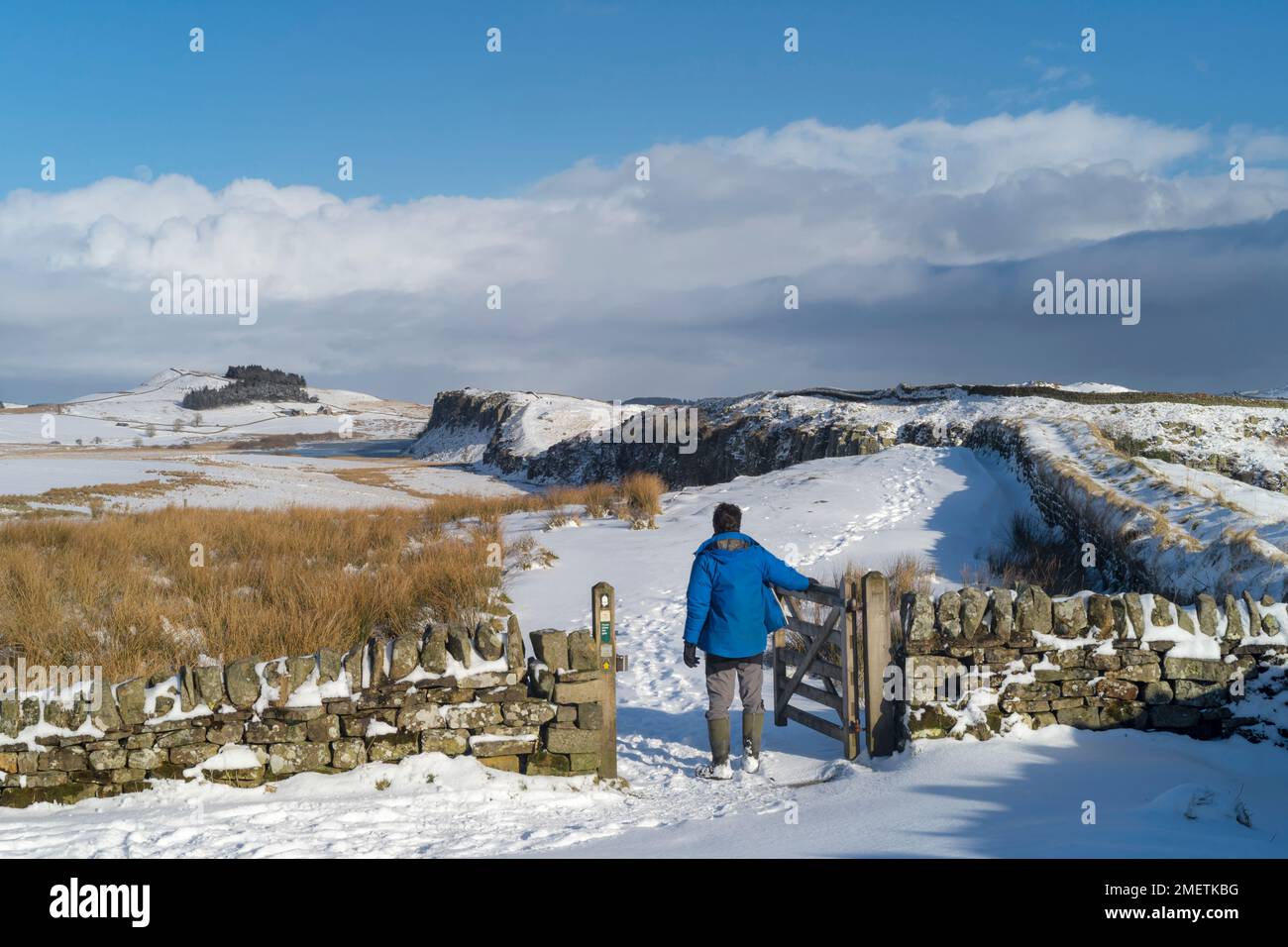 Male walker standing at the gate at Steel Rigg to follow the Hadrian's Wall Path, Northumberland National Park, England Stock Photo
