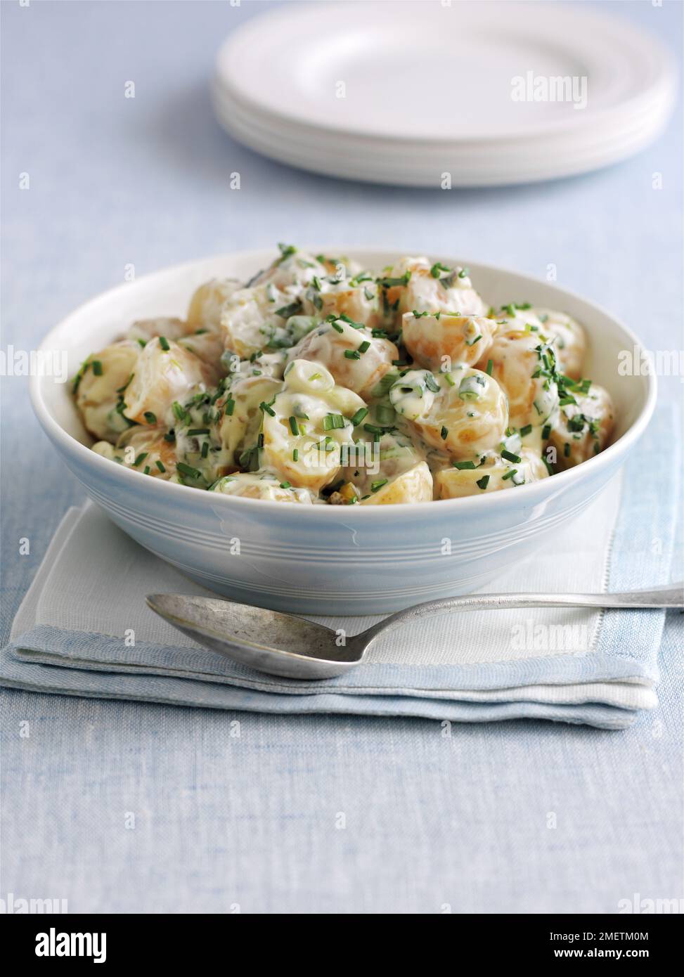 Potato salad with mayonnaise, chopped gherkins, spring onions, chives and tarragon Stock Photo
