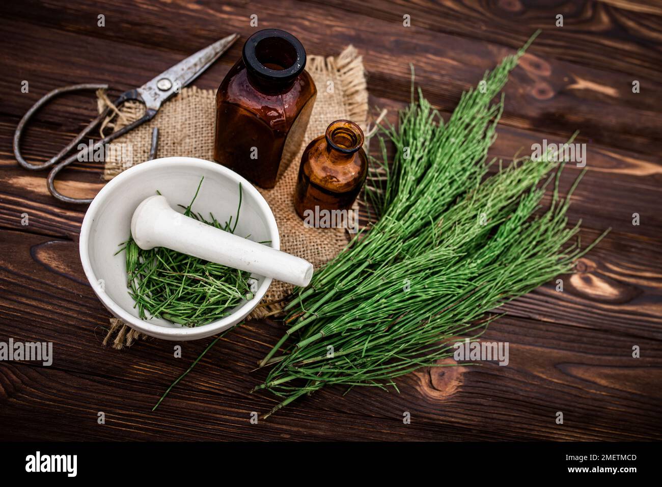 Apothecary mortar with dry medicinal herbs horse tail. Equisetum
