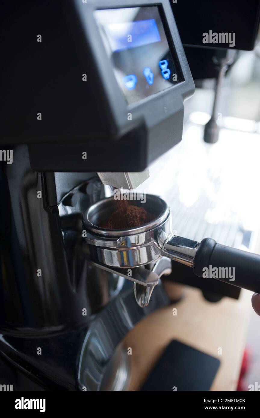 Grinding the coffee and pouring into an espresso machine basket (portafilter Stock Photo Alamy