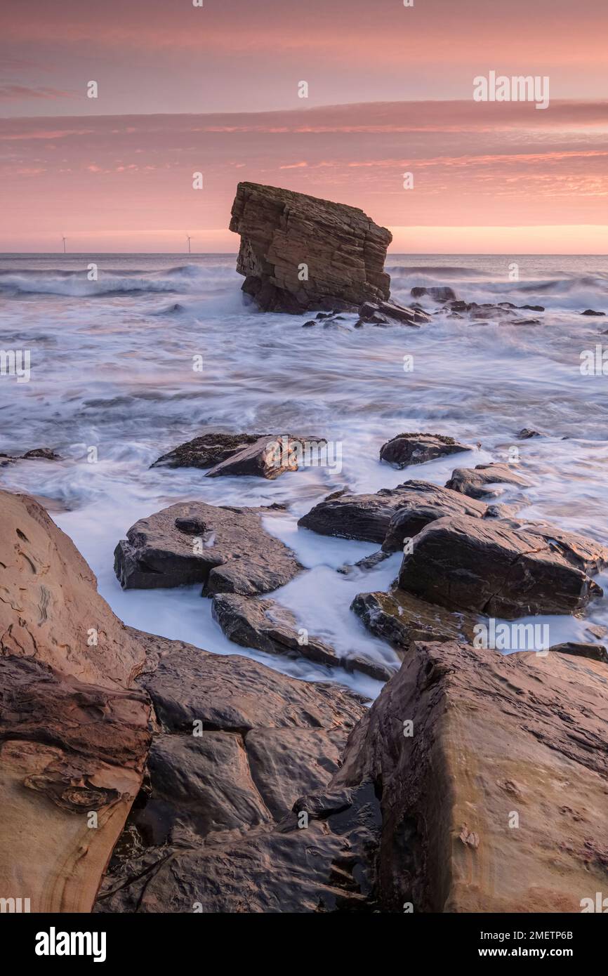 Charlie's Garden in Collywell Bay, Seaton Sluice, Northumberland Stock Photo
