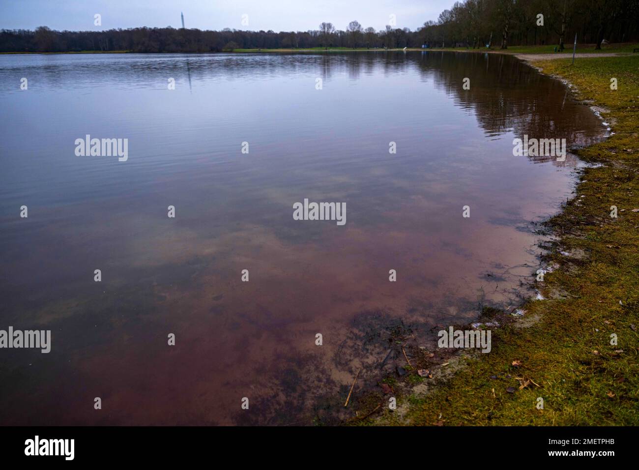 Bremen, Germany. 24th Jan, 2023. Algae on the shore of Stadtwaldsee