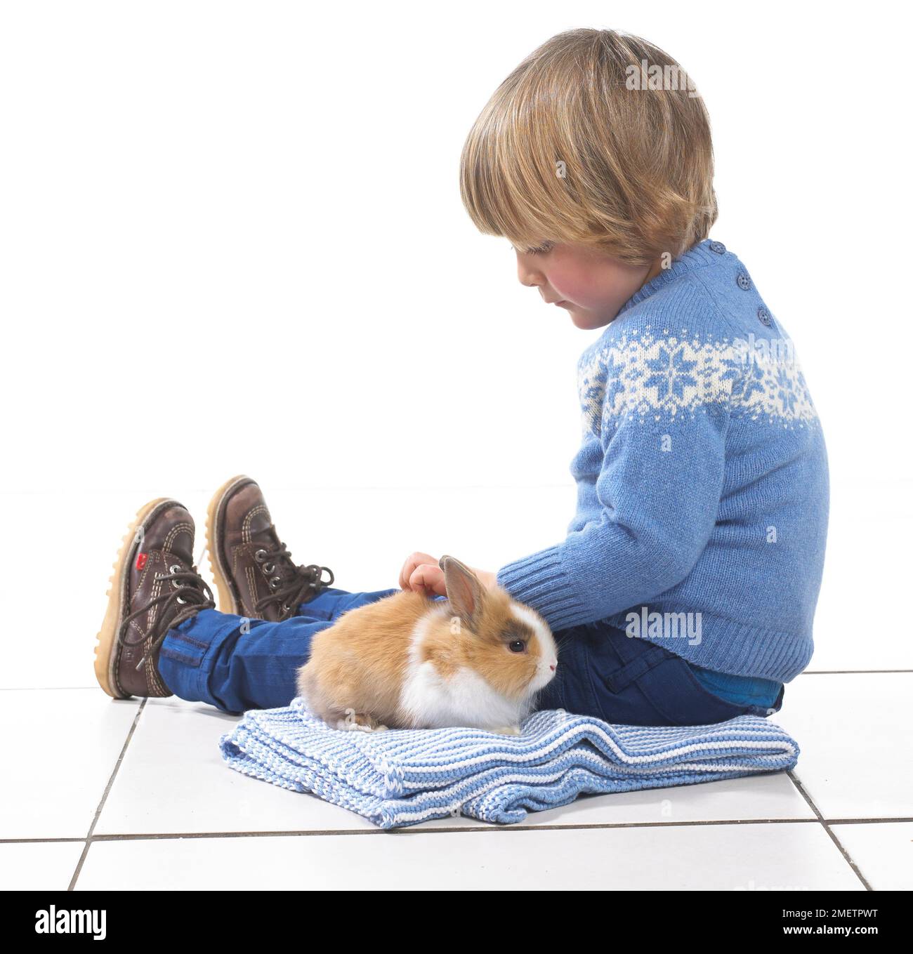 Boy sitting with rabbit on blanket, 3 years Stock Photo - Alamy