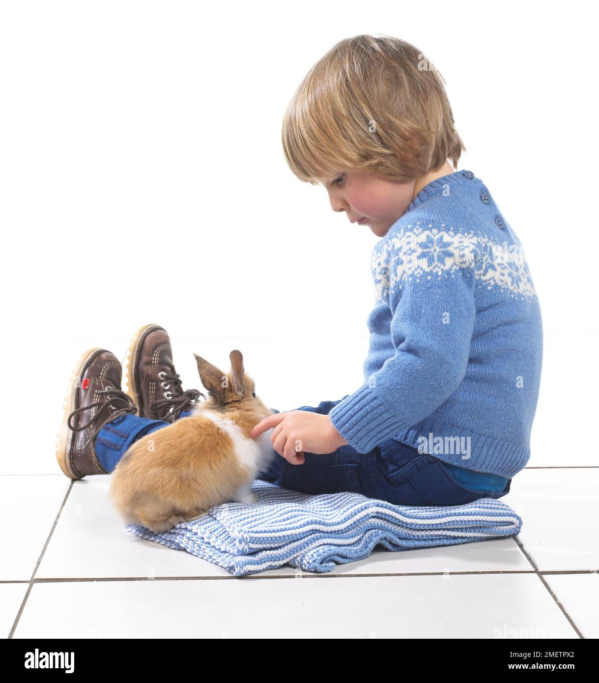 Boy sitting with rabbit on blanket, 3 years Stock Photo - Alamy