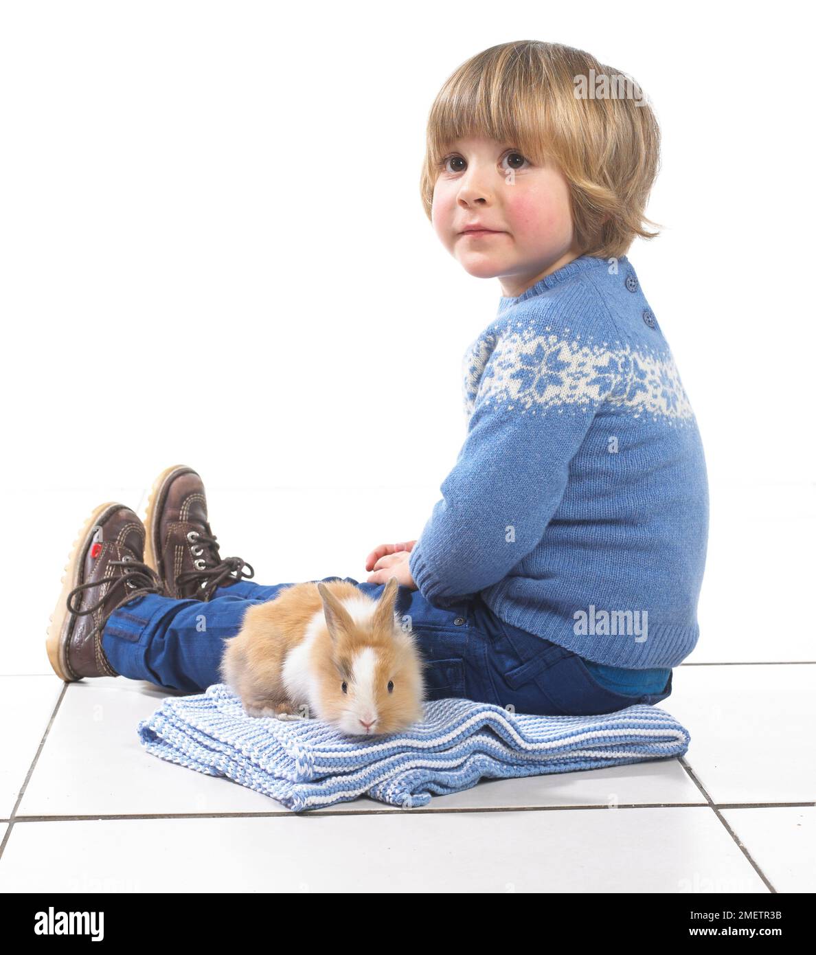 Boy sitting with rabbit on blanket, 3 years Stock Photo - Alamy