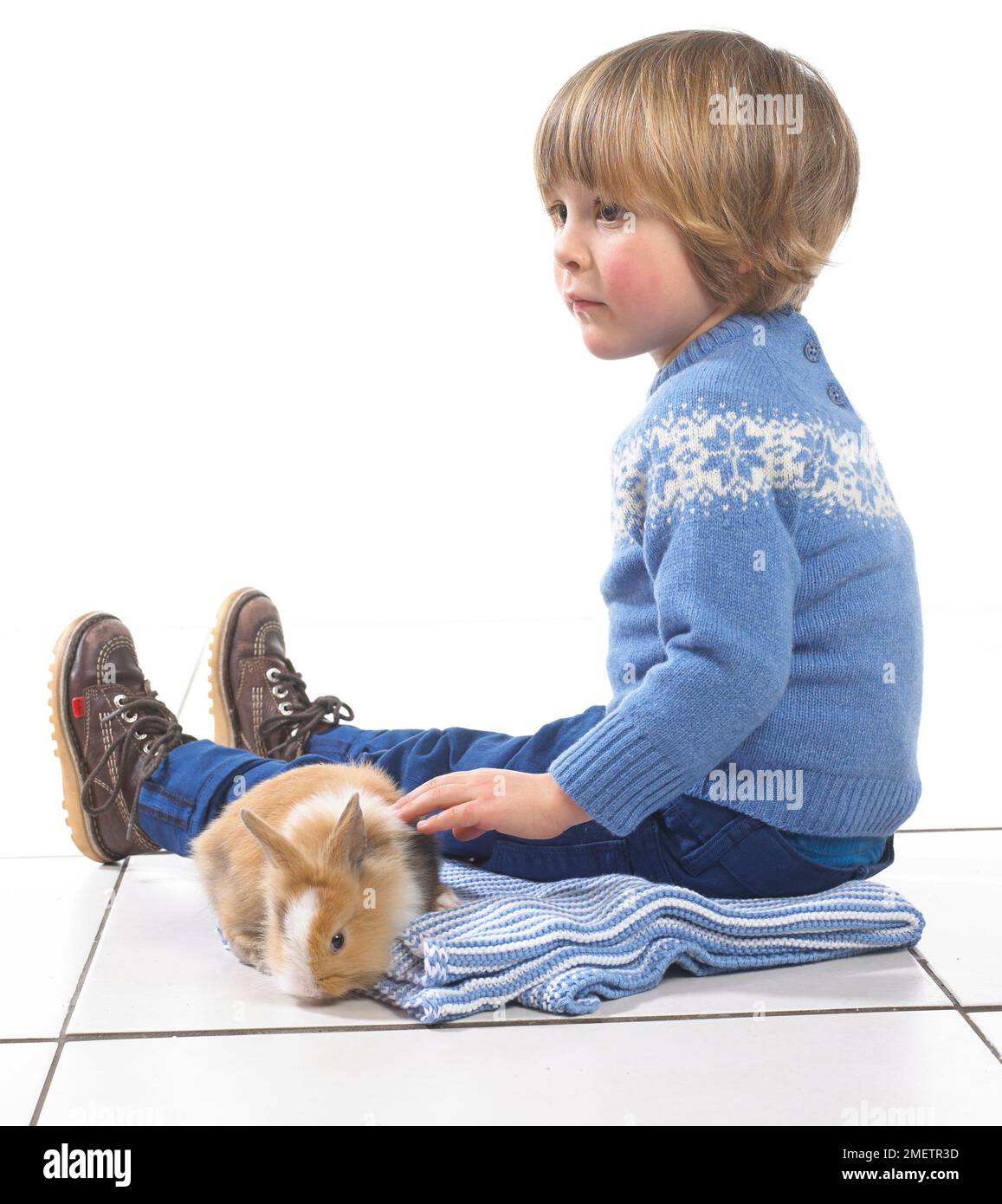 Boy sitting with rabbit on blanket, 3 years Stock Photo - Alamy