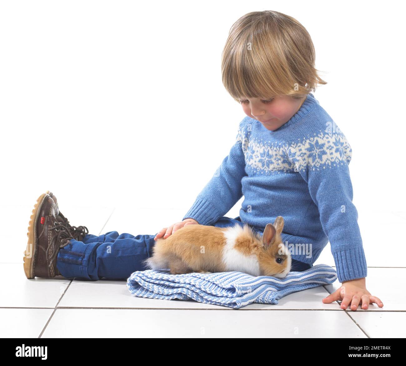 Boy sitting with rabbit on blanket, 3 years Stock Photo - Alamy