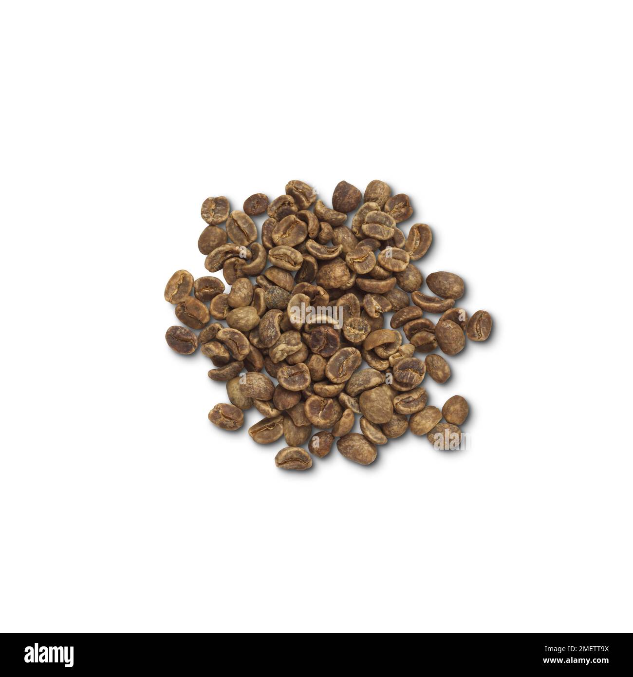 Unroasted Mountain Water decaffeinated, Guatemala Bourbon coffee beans Stock Photo