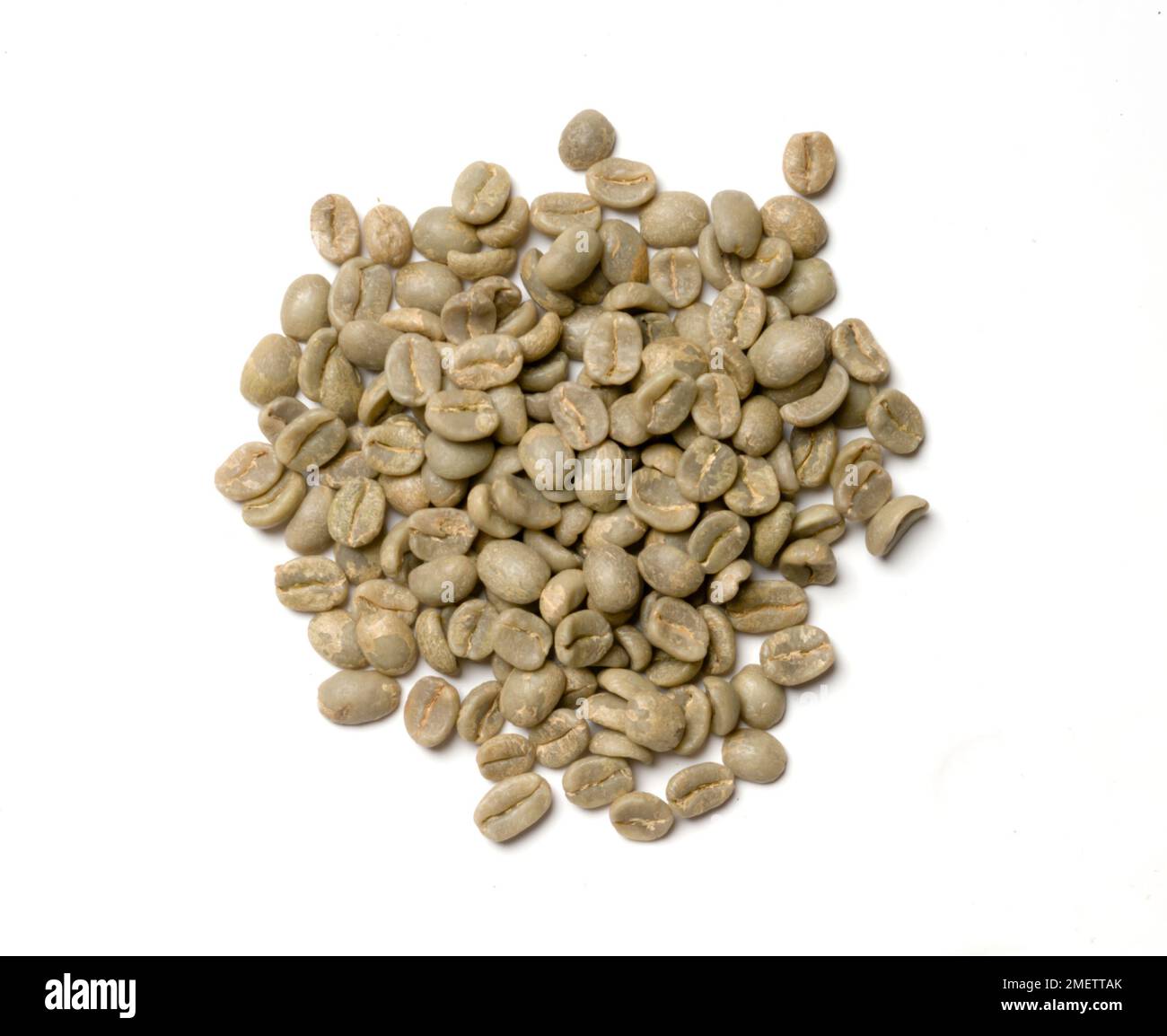 Panama Caturra washed coffee beans Stock Photo Alamy