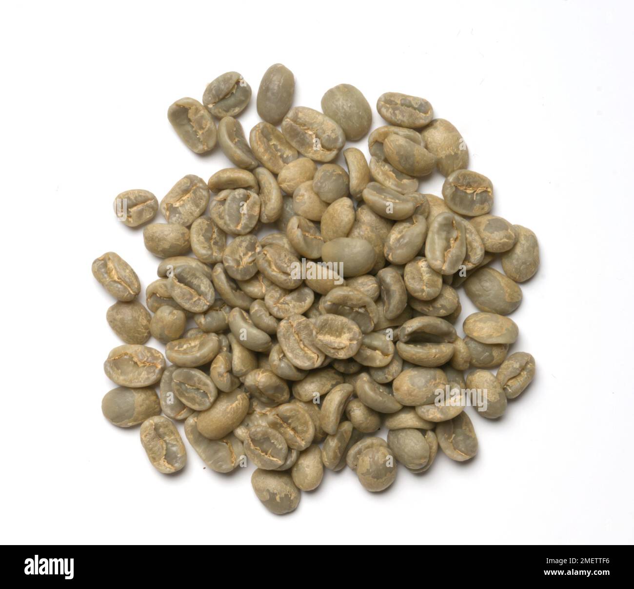 El Salvador Pacamara coffee beans Stock Photo - Alamy