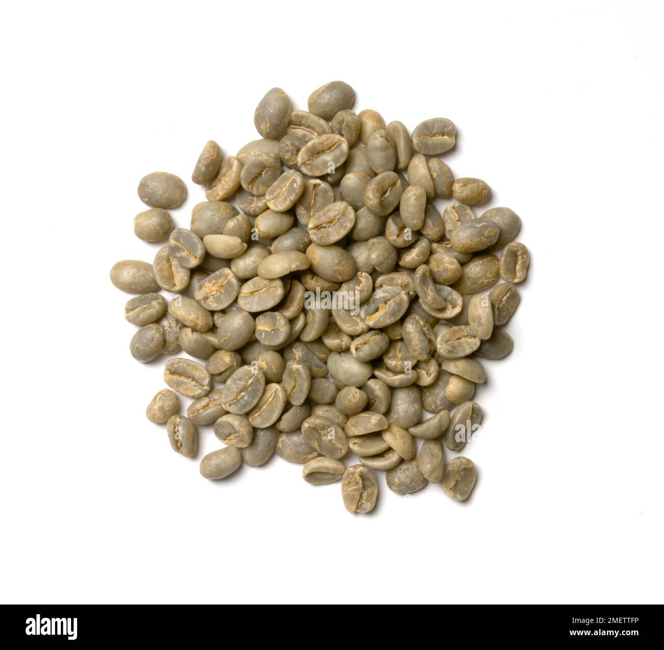 India, washed coffee beans Stock Photo