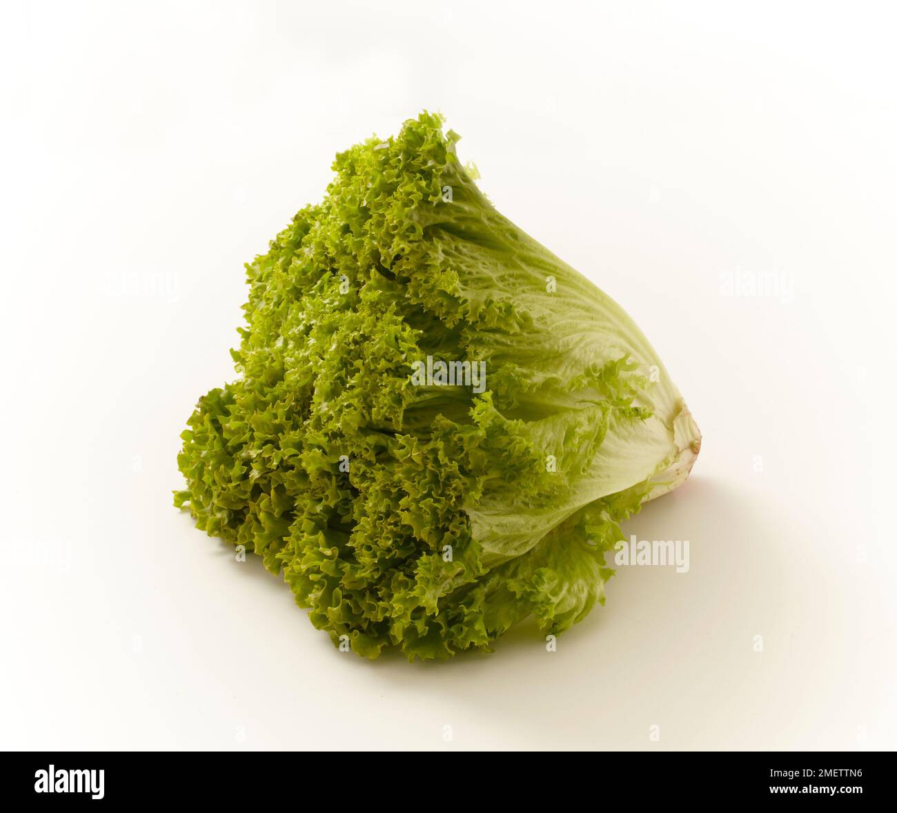 Curly leaf lettuce Stock Photo