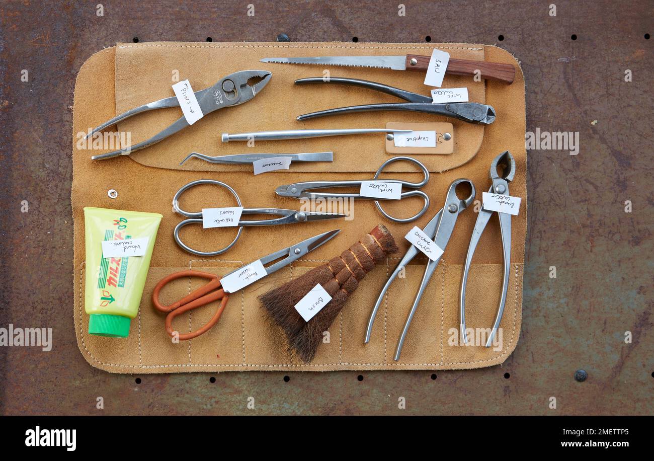 Bonsai tools, tweezers, pliers, scissors, cutters, sealant Stock Photo