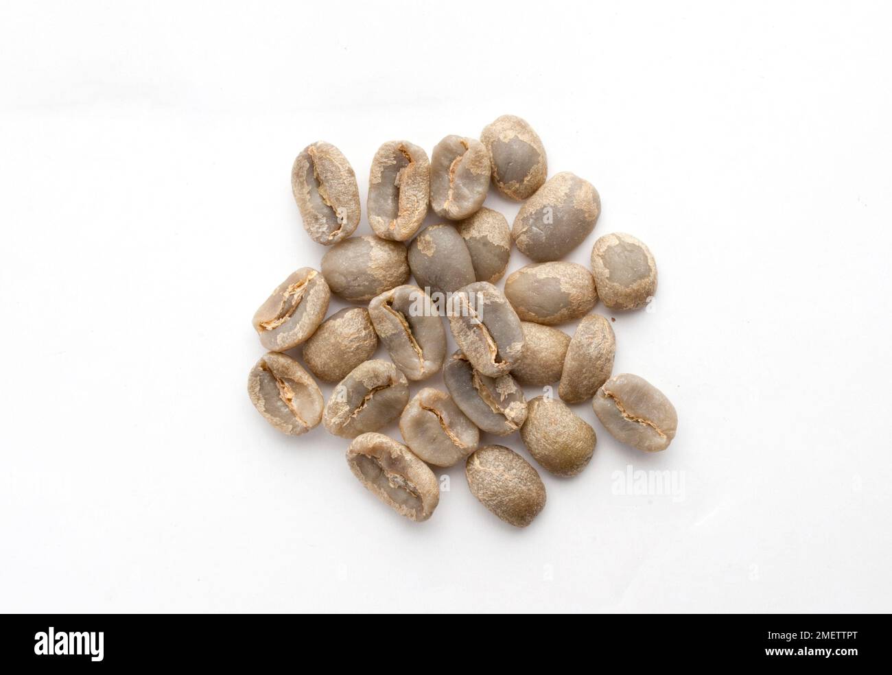 Nicaragua, Catimor coffee beans Stock Photo - Alamy