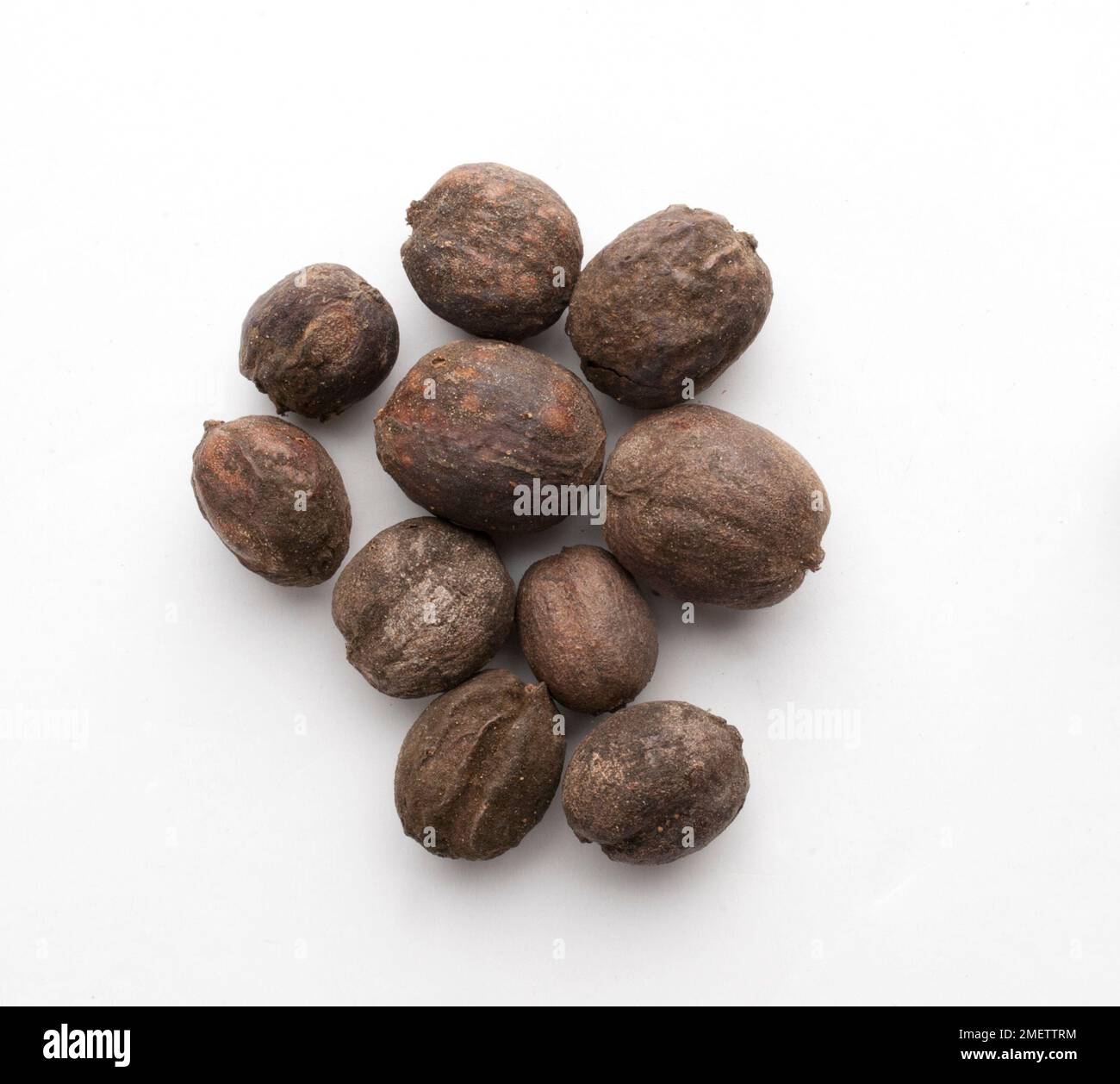 Dried coffee cherries Stock Photo Alamy
