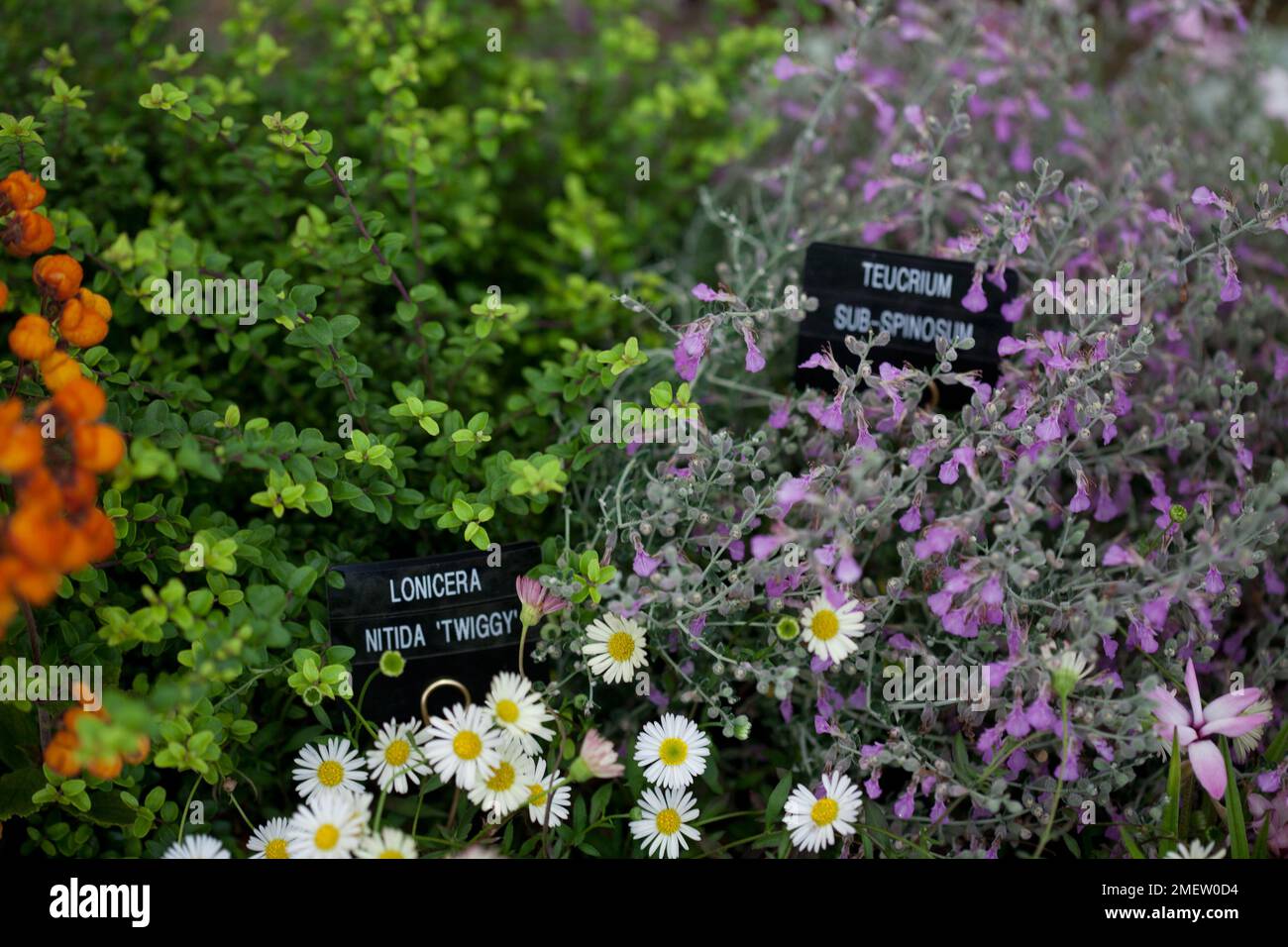 Container cut out, captions Stock Photo