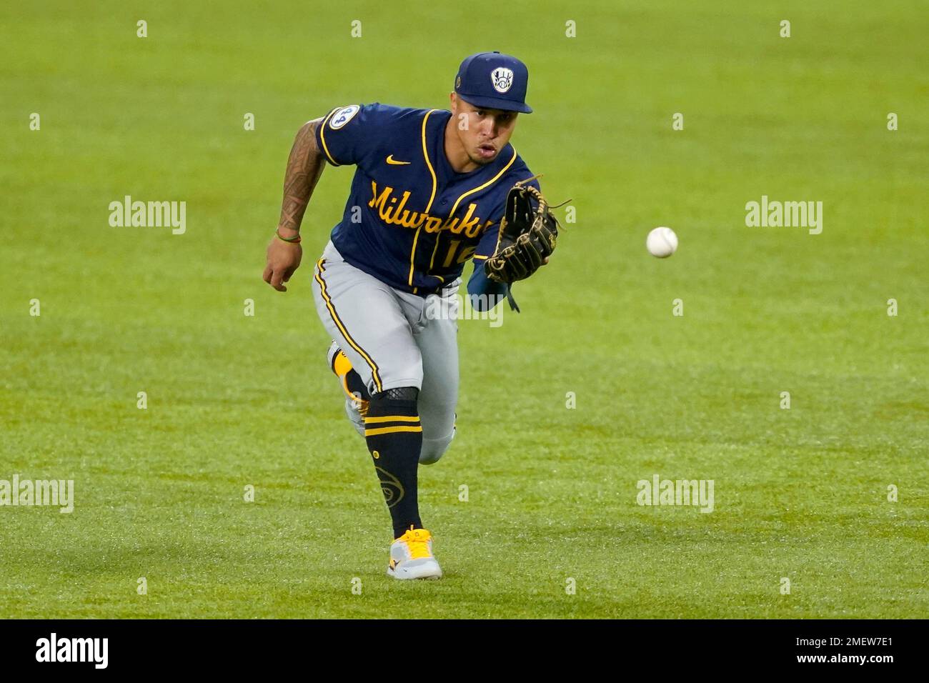 Milwaukee Brewers second baseman Kolten Wong charges in to field a