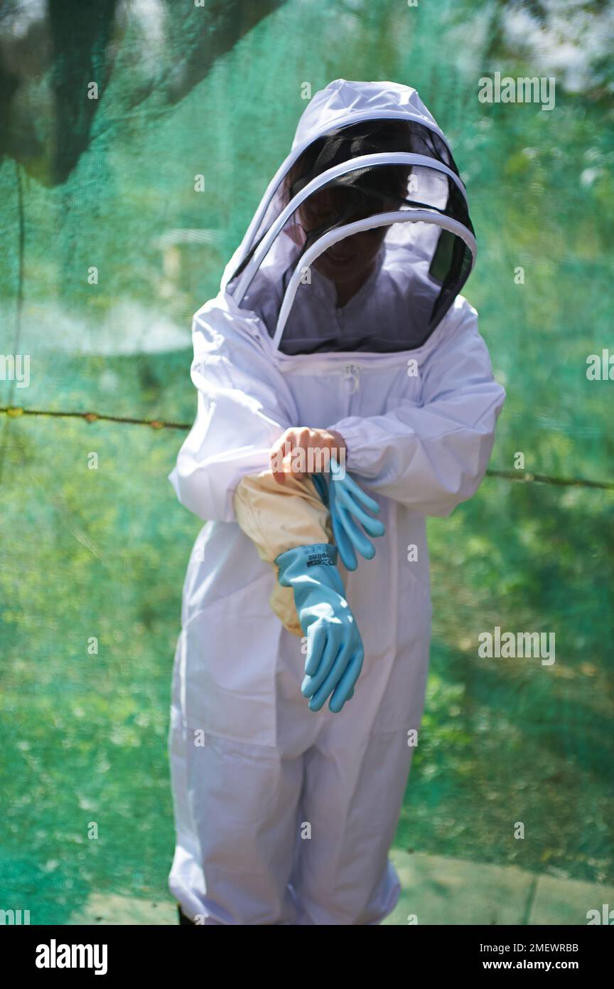 Fitting a Bee Suit Stock Photo Alamy