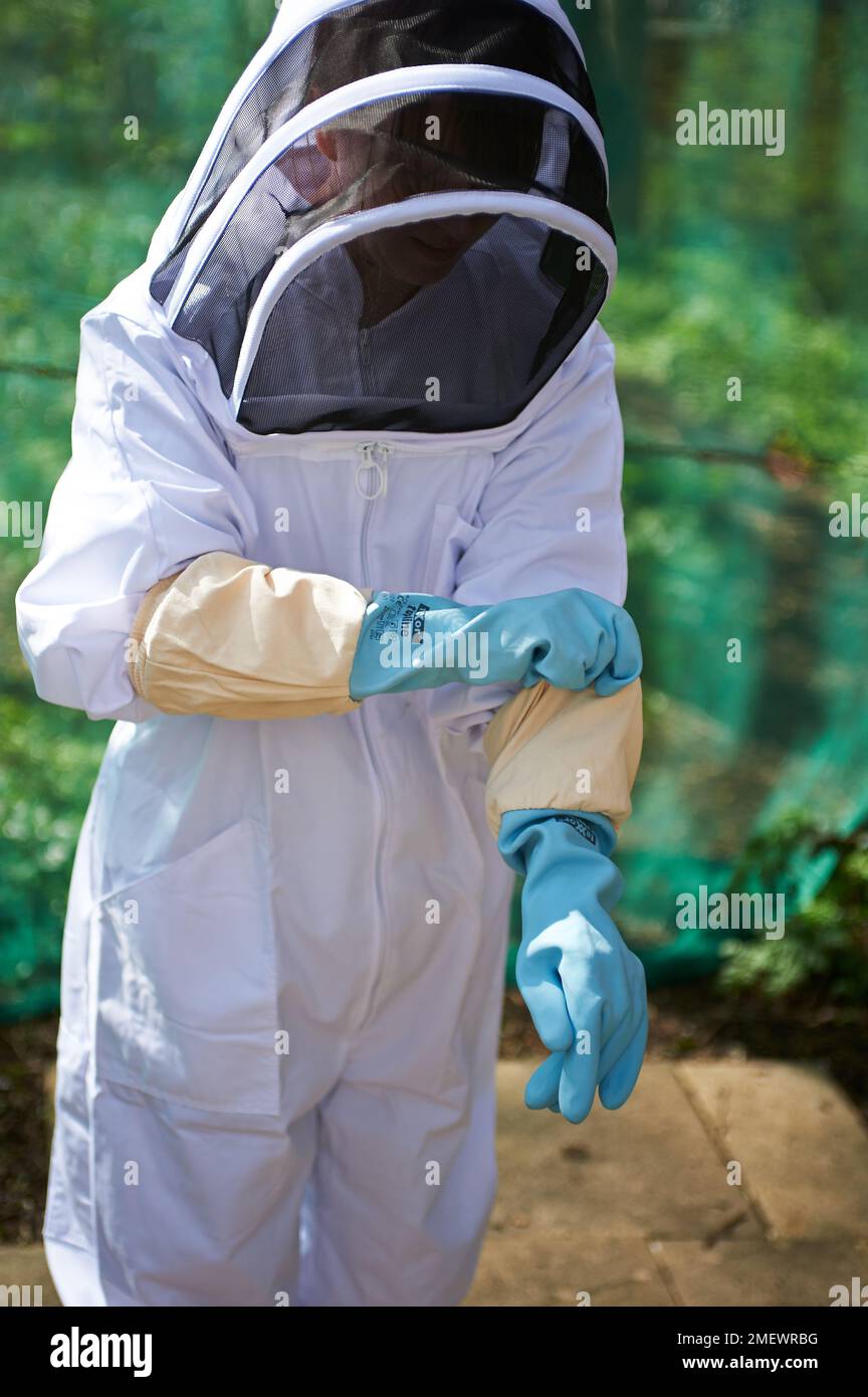 Fitting a Bee Suit Stock Photo Alamy