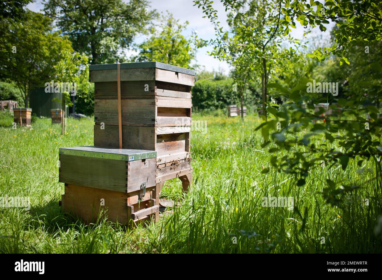 Food-Fibre-Fashion #30 31/07/25., image size:1300x955