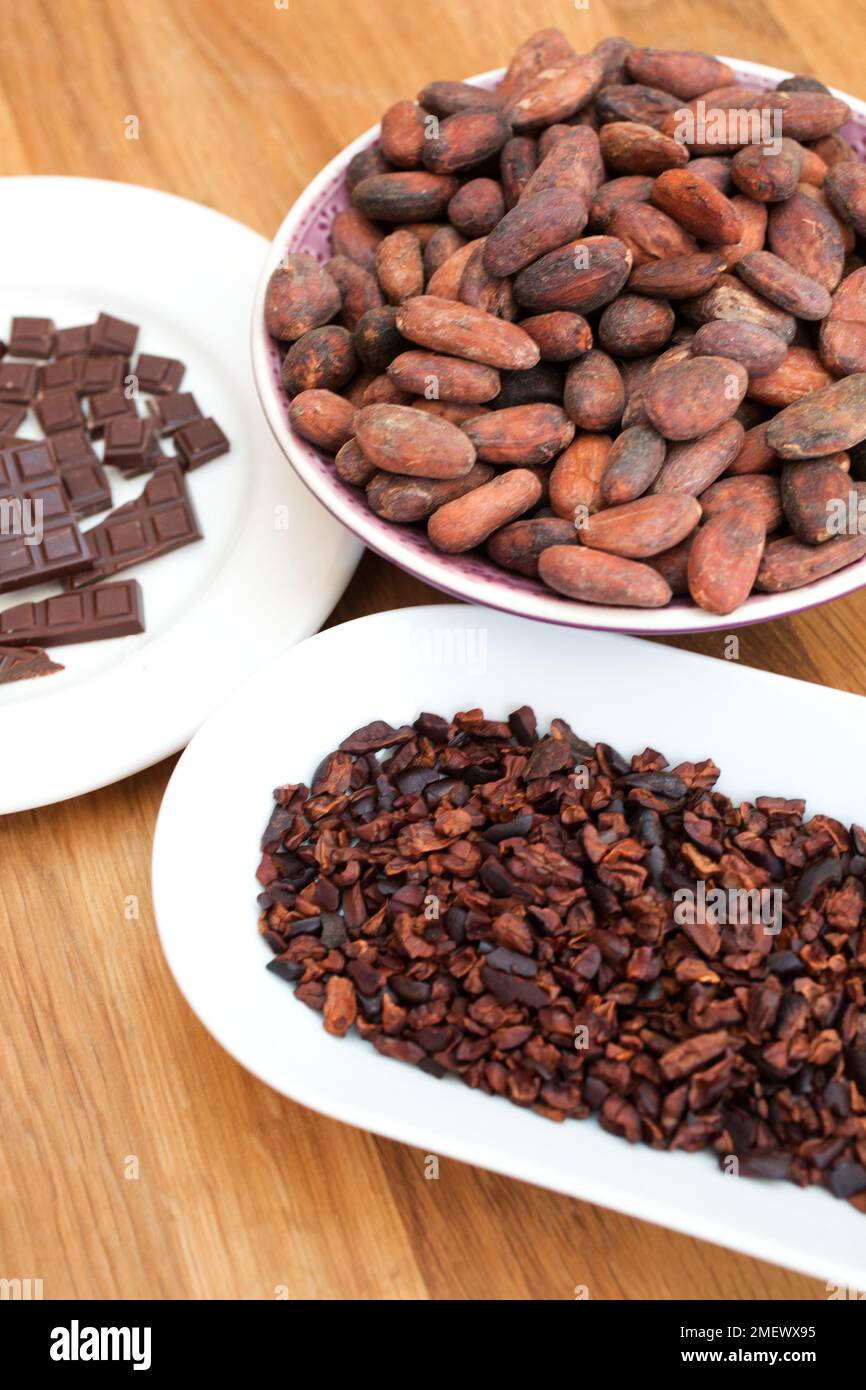 Chocolate, cocoa beans, and cocoa nibs Stock Photo Alamy