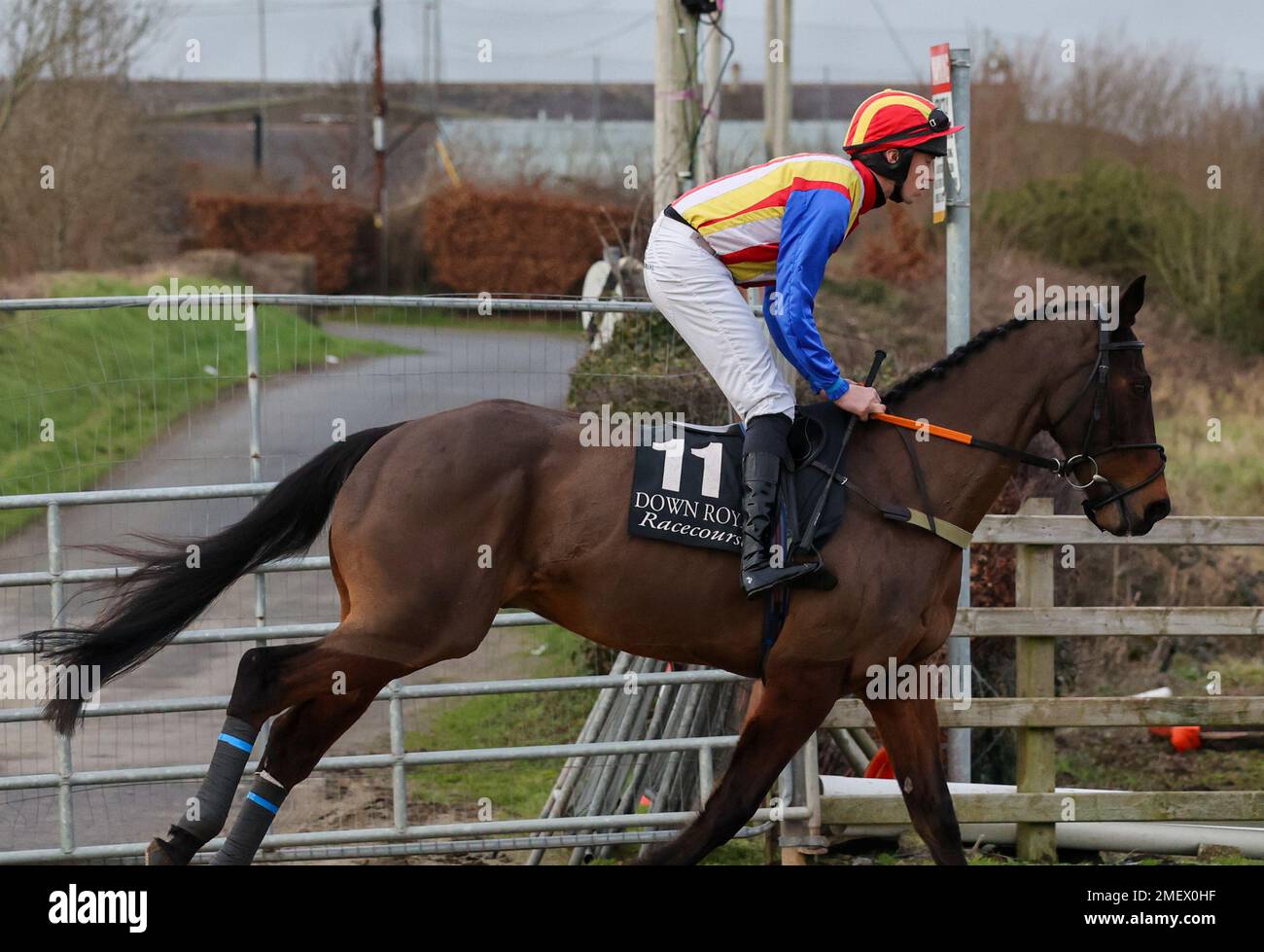 Down Royal Racecourse, Lisburn, Northern Ireland, UK. 24 Jan 2023. Aspall Handicap Chase. National Hunt racing January 2023. Race won by Wee Small Hours (11 – red/yellow helmet) ridden by jockey Dillon Maxwell, trainer M M Rice. Credit: CAZIMB/Alamy Live News. Stock Photo