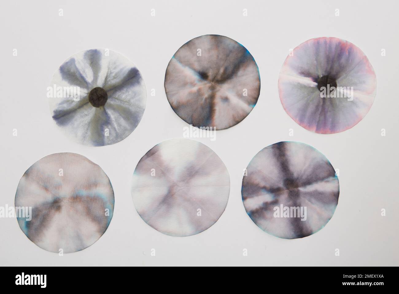 Filter paper showing the different colours inside black ink Stock Photo