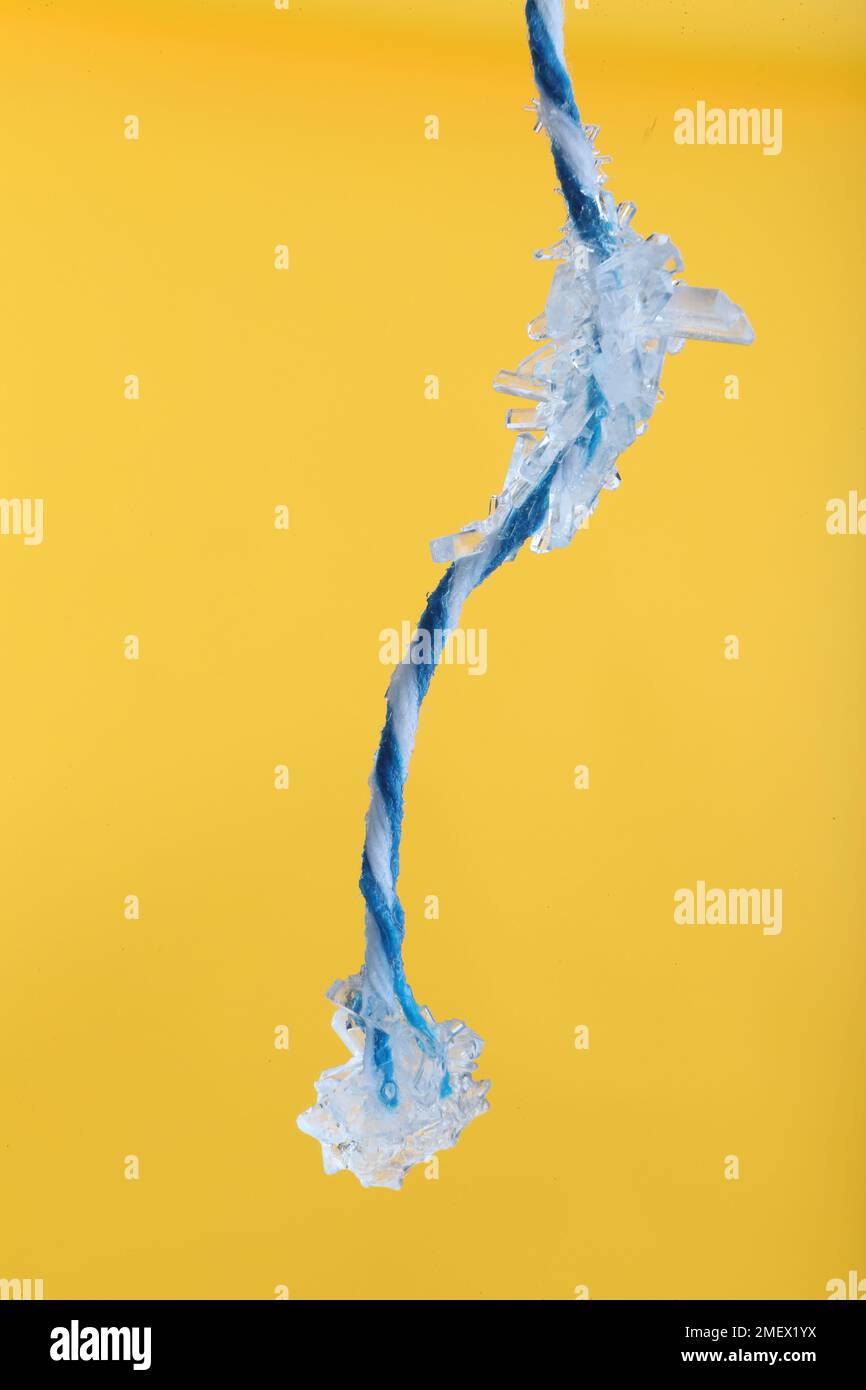 Salt crystals growing on string Stock Photo Alamy