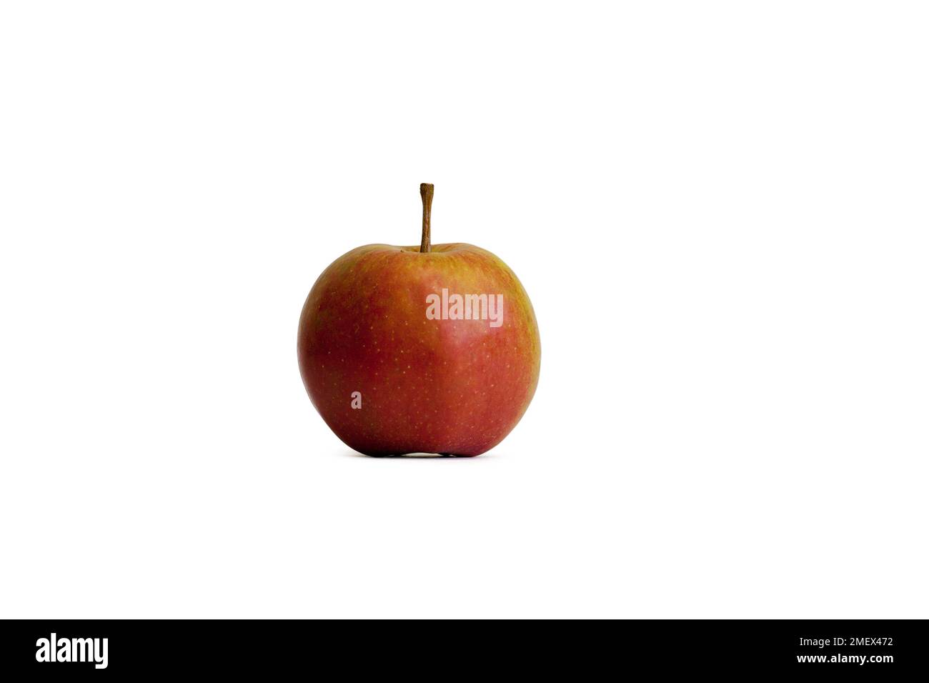 Jonagold apple on display Stock Photo Alamy