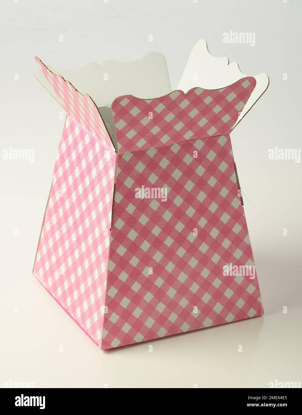 Cardboard vase Stock Photo